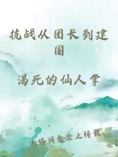 抗战从团长到建国