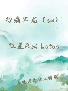 幻痛牢龙(sm)