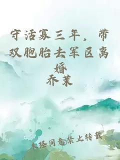 守活寡三年,带双胞胎去军区离婚