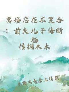 离婚后拒不复合:前夫儿子悔断肠