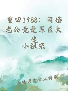 重回1988:闪婚老公竟是军区大佬