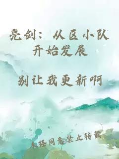 亮剑：从区小队开始发展