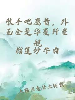 收手吧鹰酱，外面全是华夏歼星舰