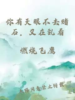 你有天眼不去赌石,又在乱看