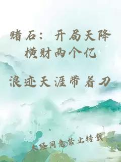 赌石:开局天降横财两个亿