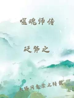 噬魂师传