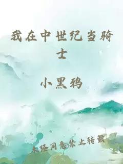 我在中世纪当骑士