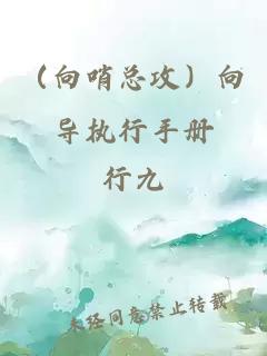 (向哨总攻)向导执行手册