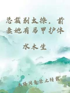 总裁别太撩,前妻她有马甲护体
