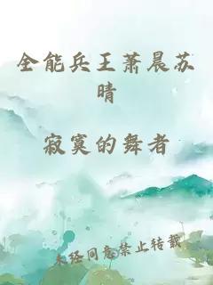 全能兵王萧晨苏晴