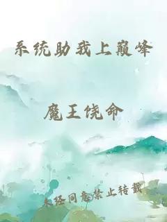 系统助我上巅峰
