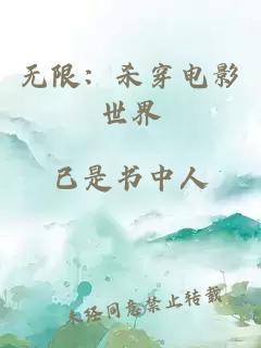 无限:杀穿电影世界