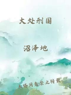 大处刑国