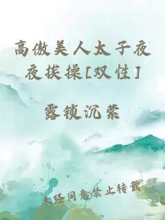 高傲美人太子夜夜挨操[双性]