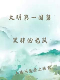 大明第一国舅
