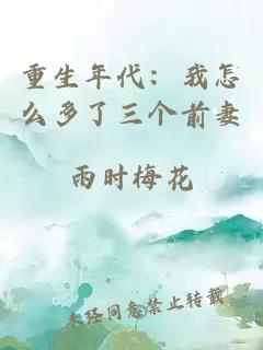重生年代:我怎么多了三个前妻