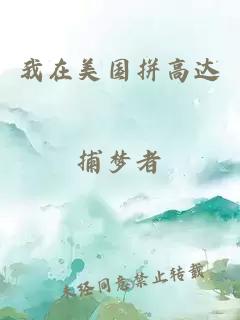 我在美国拼高达