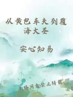 从黄包车夫到覆海大圣