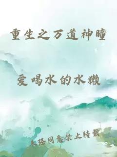 重生之万道神瞳