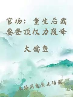 官场：重生后我要登顶权力巅峰