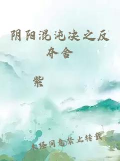 阴阳混沌决之反夺舍