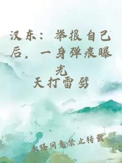 汉东：举报自己后，一身弹痕曝光
