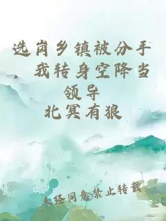 选岗乡镇被分手，我转身空降当领导