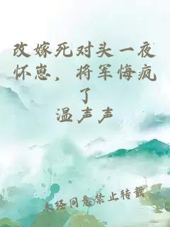 改嫁死对头一夜怀崽，将军悔疯了