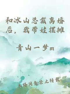 和冰山总裁离婚后，我带娃摆摊