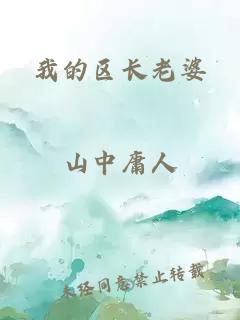 我的区长老婆