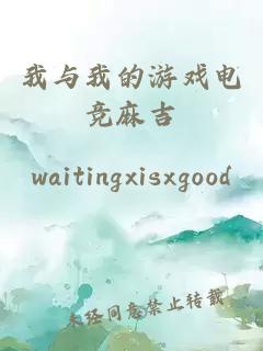 我与我的游戏电竞麻吉