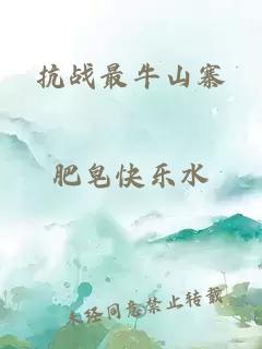 抗战最牛山寨