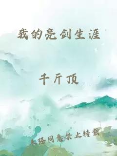 我的亮剑生涯