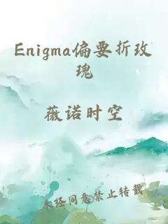 Enigma偏要折玫瑰
