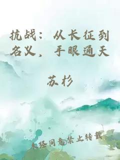 抗战:从长征到名义,手眼通天