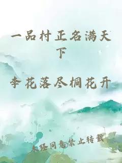 一品村正名满天下