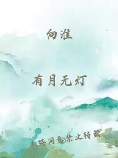 向淮
