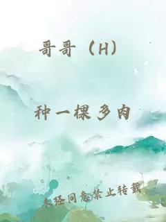 哥哥(H)