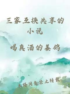 三家互换共享的小说