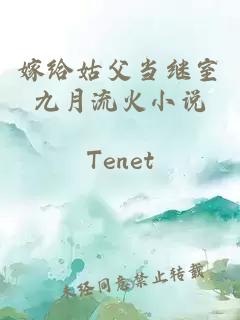 嫁给姑父当继室九月流火小说