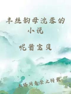 丰丝韵母沈蓉的小说