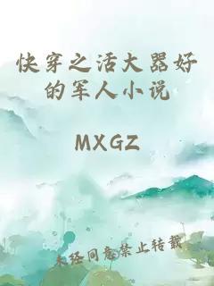 快穿之活大器好的军人小说