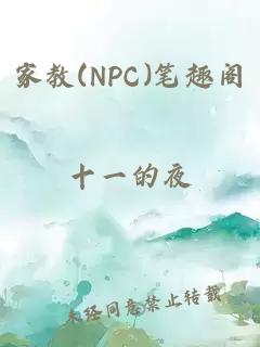 家教(NPC)笔趣阁