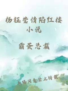 杨钰莹情陷红楼小说