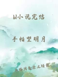 bl小说完结