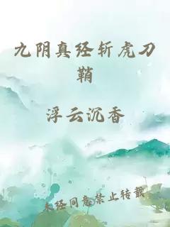 九阴真经斩虎刀鞘