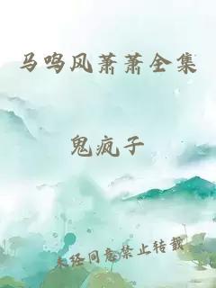 马鸣风萧萧全集