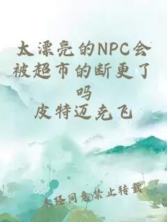 太漂亮的NPC会被超市的断更了吗
