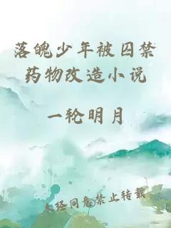 落魄少年被囚禁药物改造小说